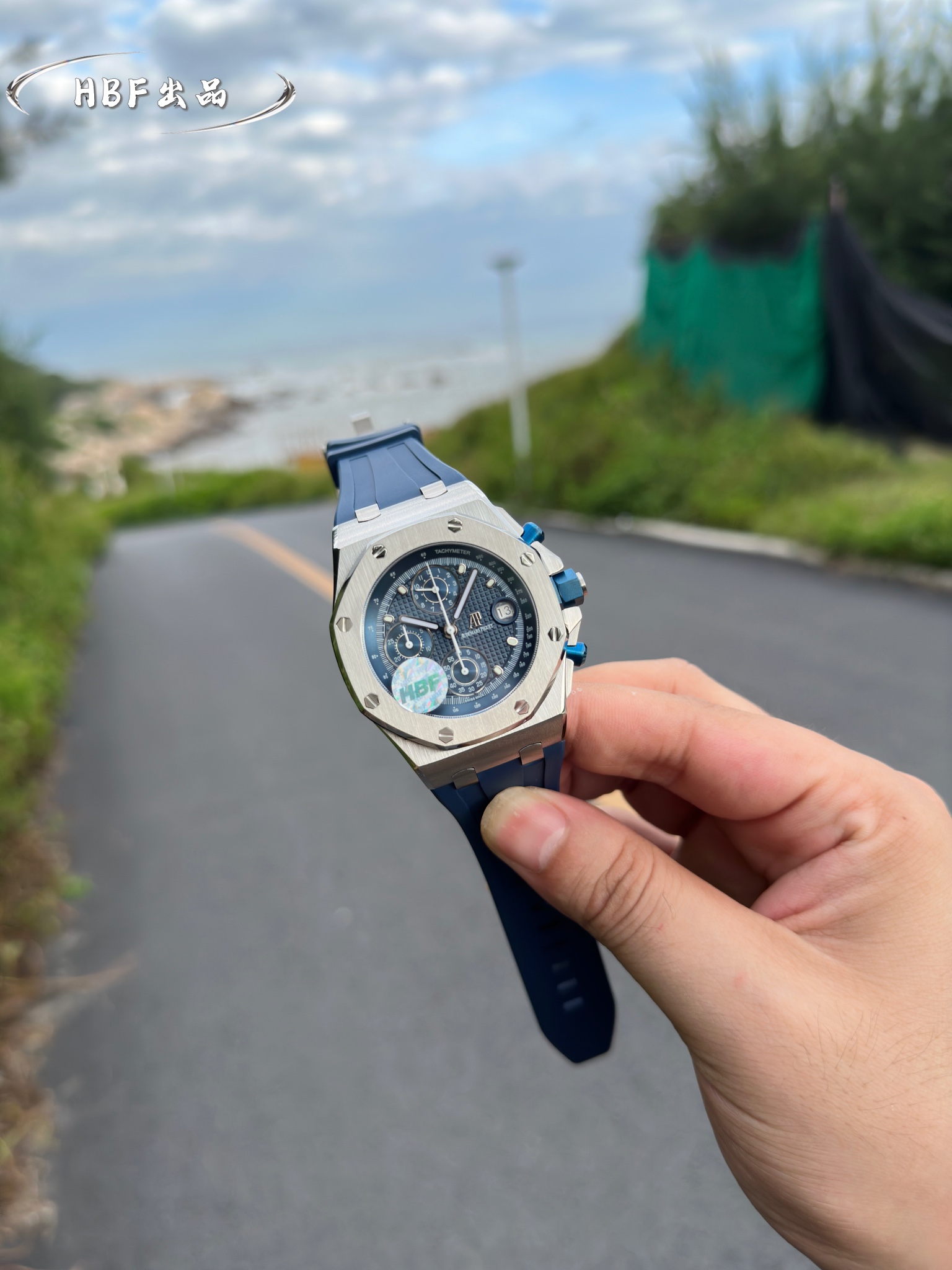 Audemars Piguet watch